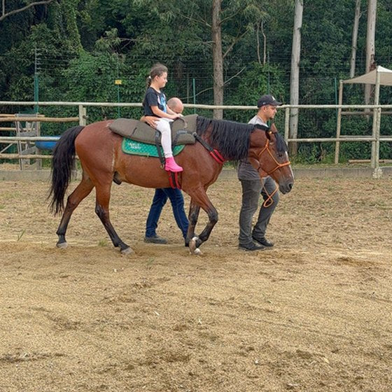 Equoterapia na Hippus Aldeia